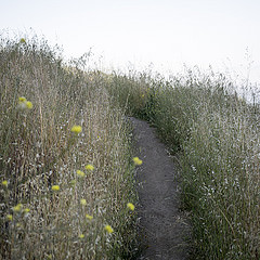 _1200355