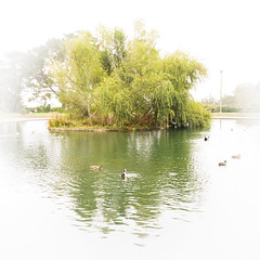 McNab Lake, McLaren Park (14 Sept 13)