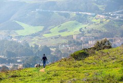 South slope, McLaren Park